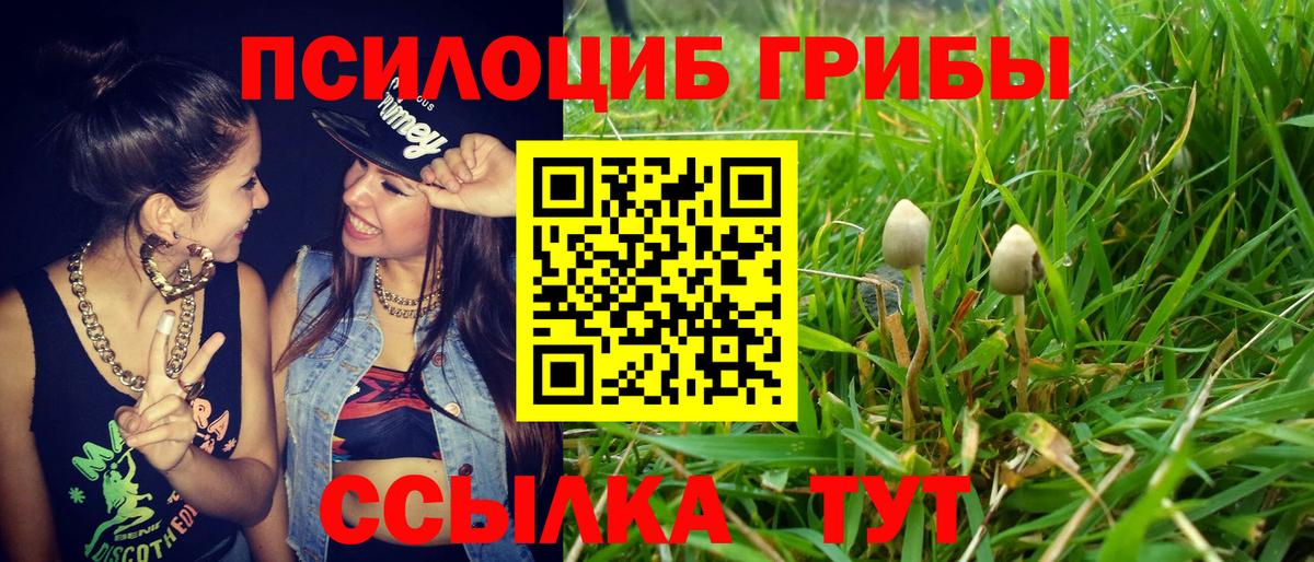 Галлюциногенные грибы MAGIC MUSHROOMS Медногорск