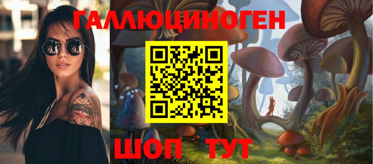 Псилоцибиновые грибы GOLDEN TEACHER  Галлюциногенные грибы MAGIC MUSHROOMS  Вход с VPN  Медногорск 